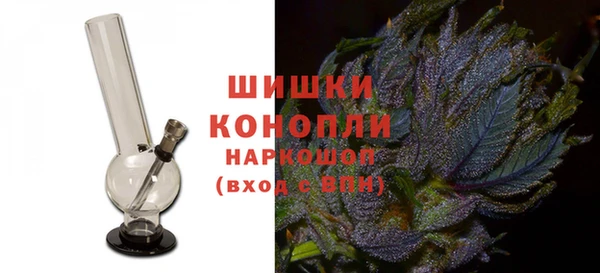 гидра Пестово