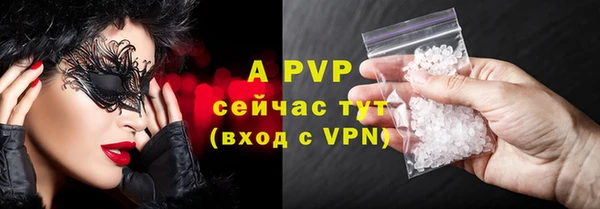 гидра Пестово